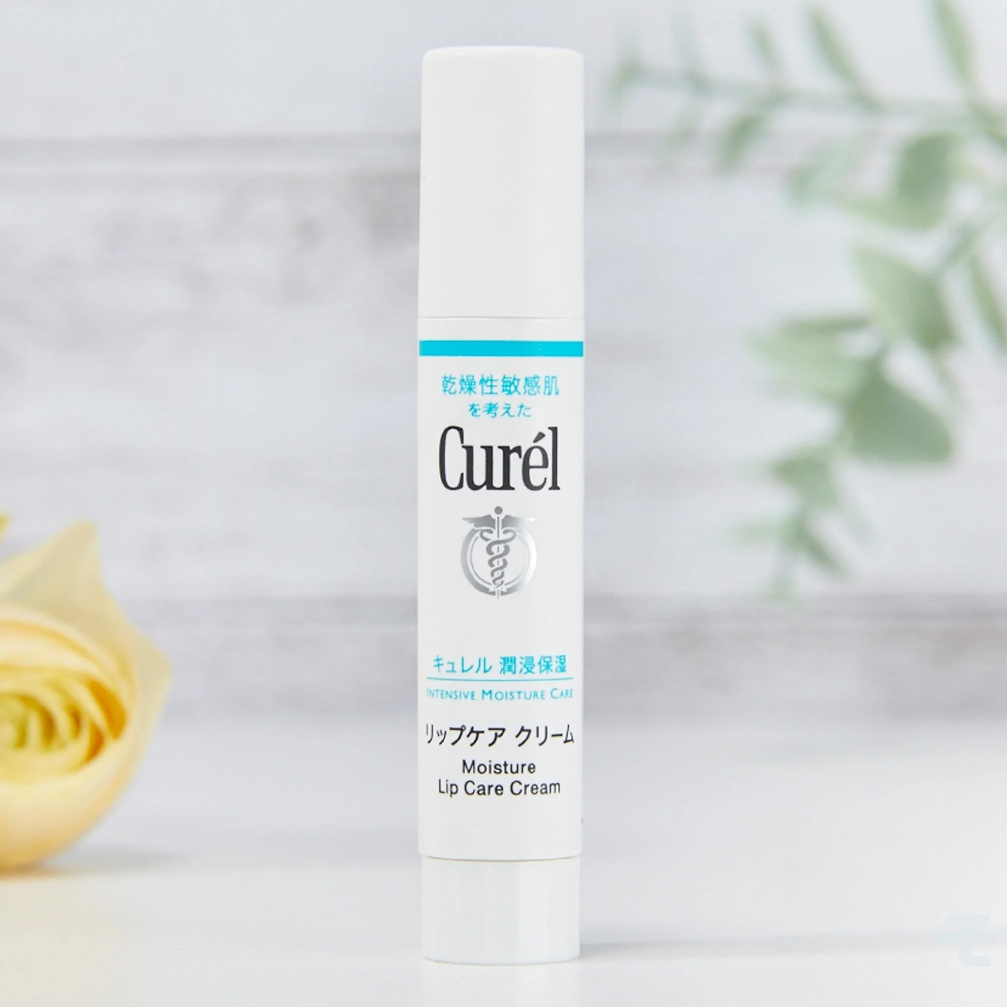Curél Intensive Moisture Care Moisture Lip Care Cream 4.2 g - Image 5