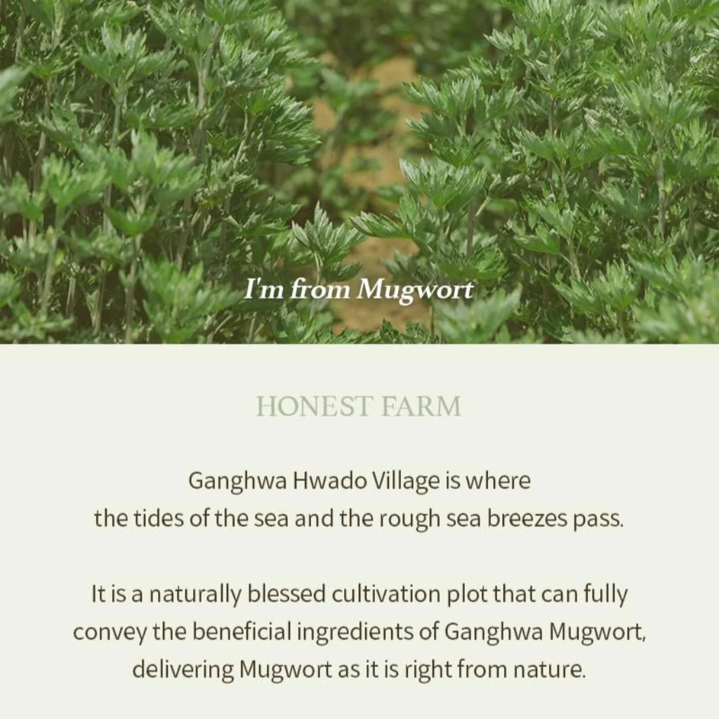 I'm from Mugwort Gel Cleanser 150ml - Image 5