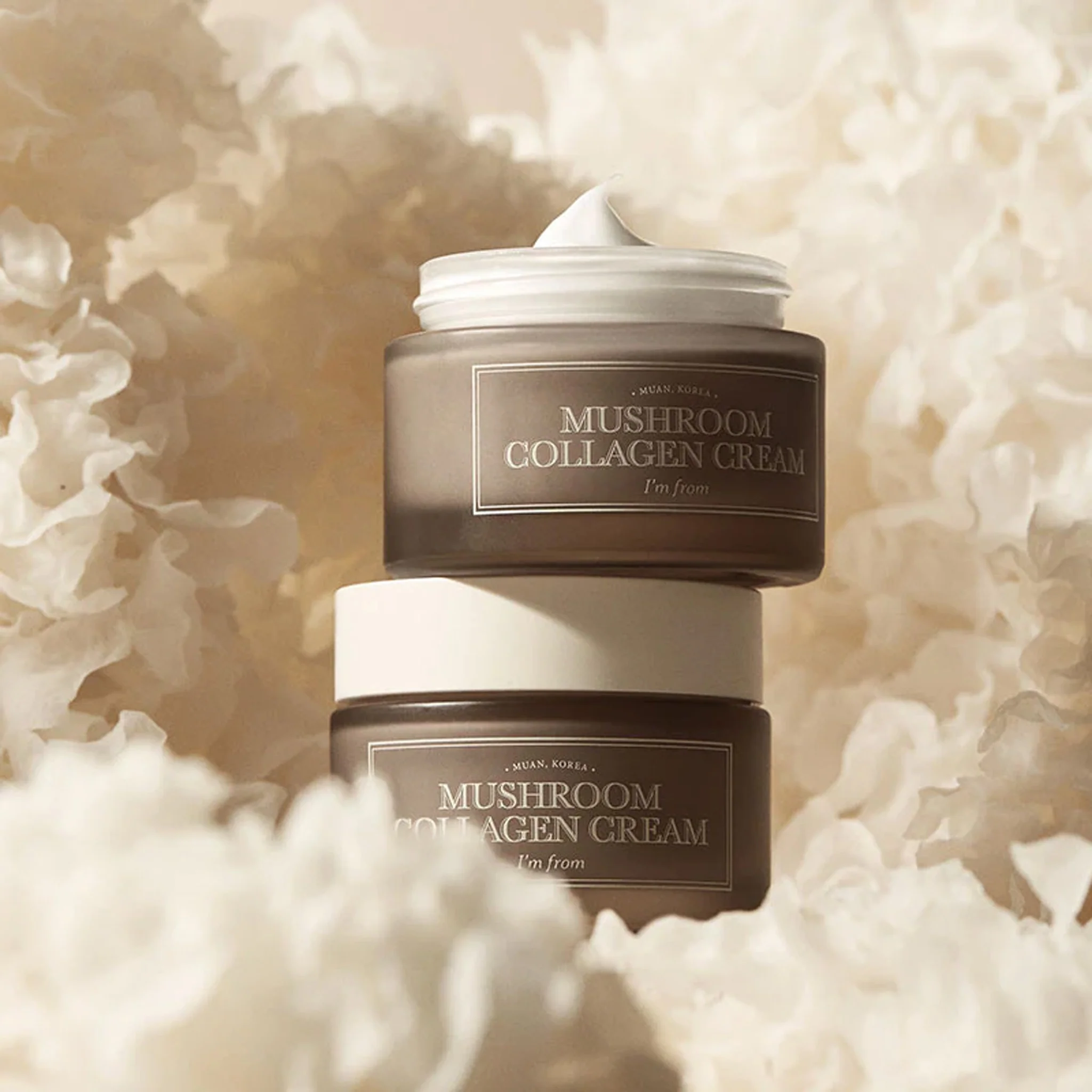 I'm from Mushroom Collagen Cream 50ml - Image 5