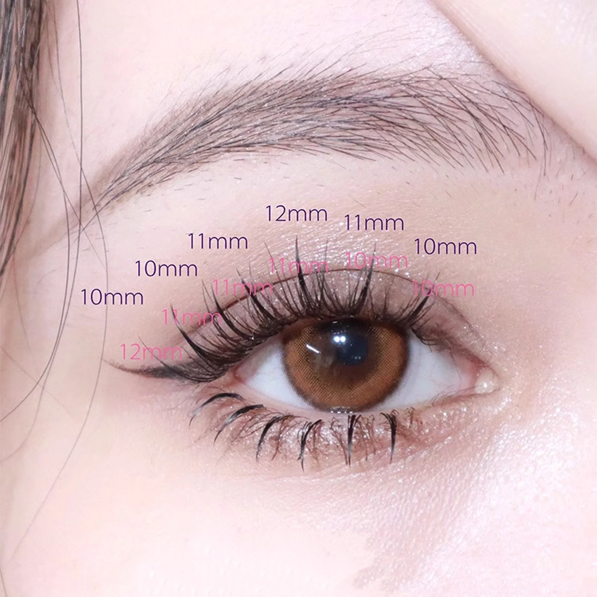 MJSP A-Type Segmented Eyelash - Image 3
