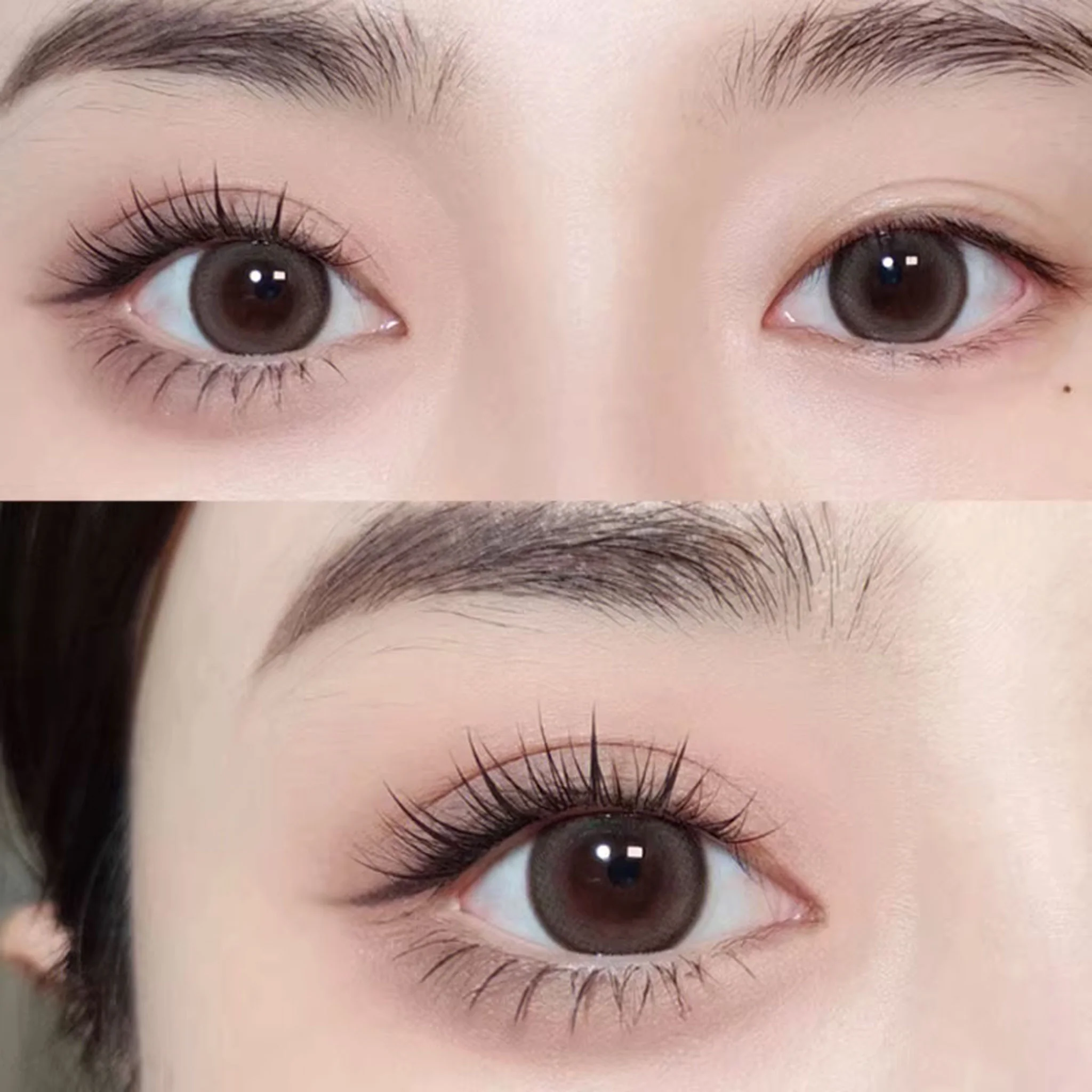 MJSP Sunflower Lazy Eyelashes 1box - Image 6
