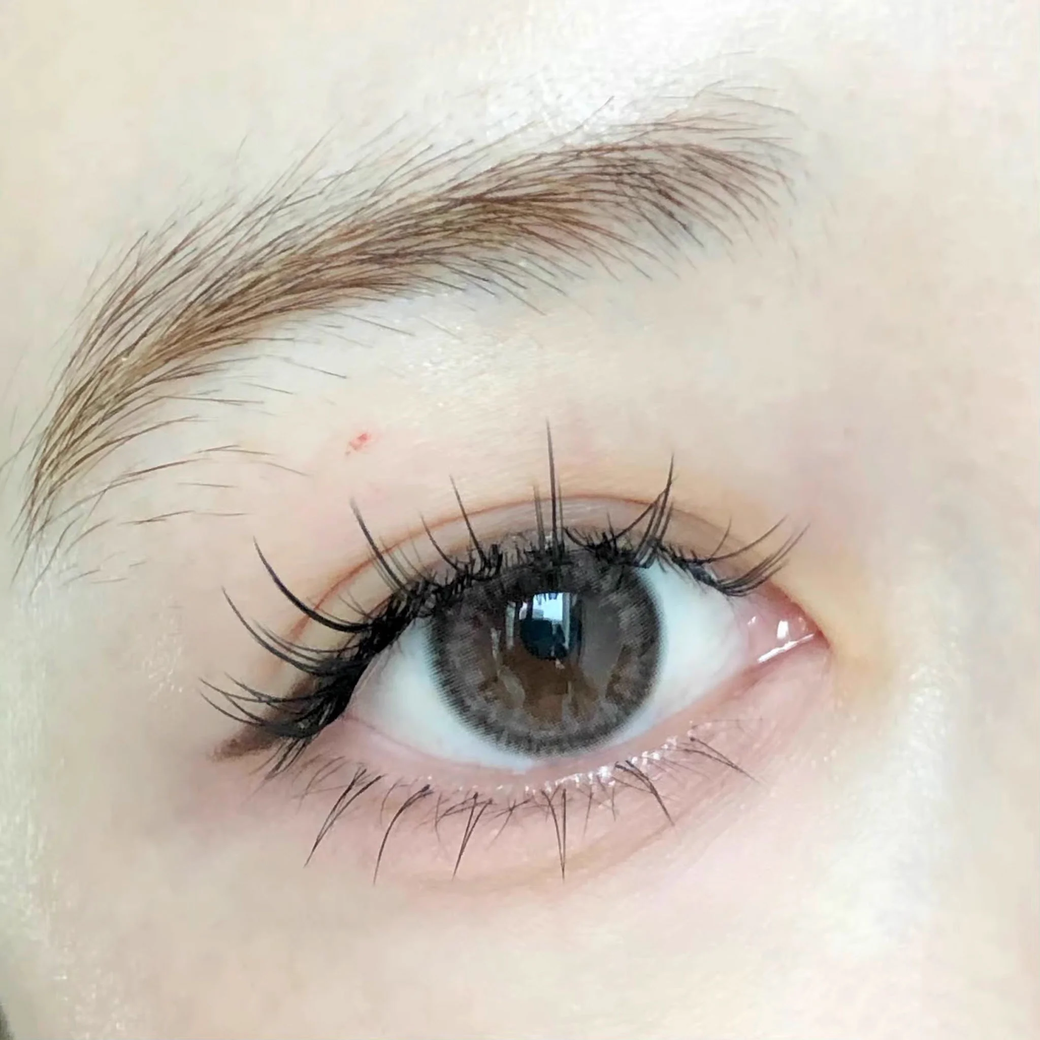 MJSP V-Type Segmented Lower Eyelash Mixed Pack - Image 5