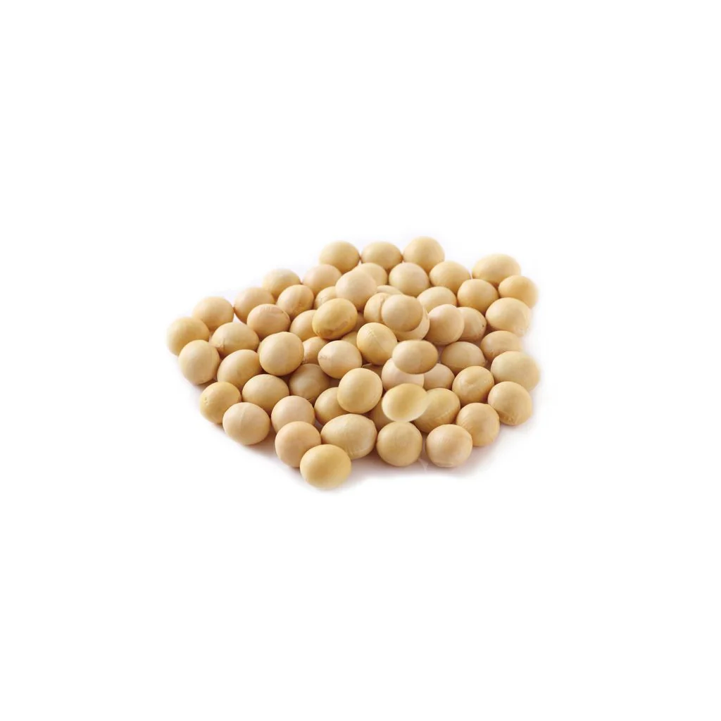 Tunemakers Botanical Soybean Extract 10 ml - Image 2